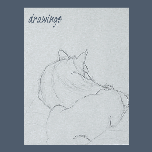 drawings